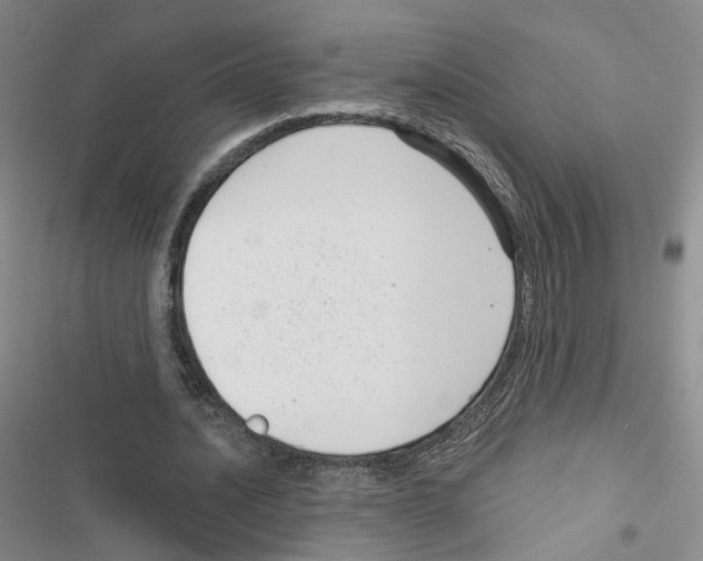 X0000116810628201001151144