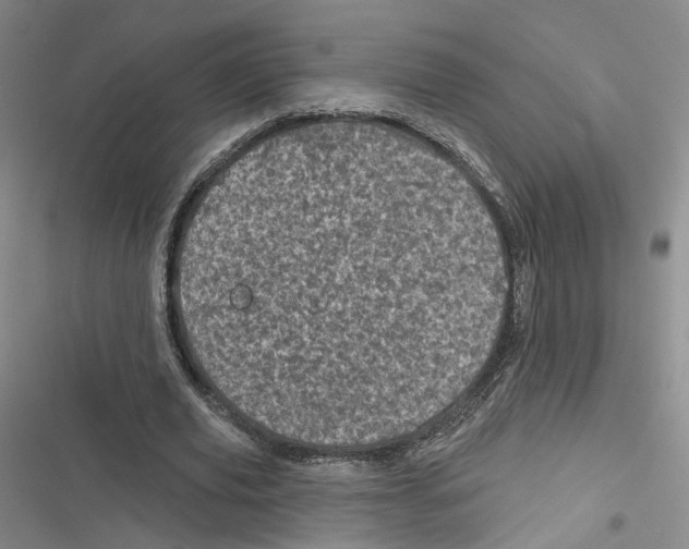 X0000116810629201001151144