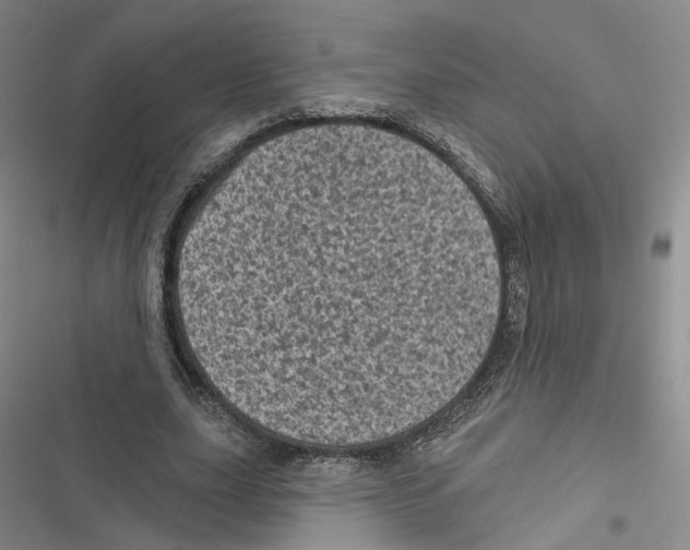 X0000116810631201001151144