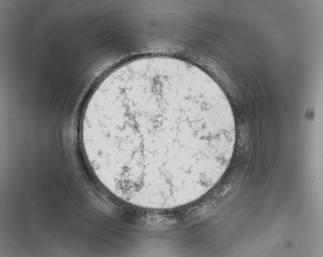 X0000116810632201001151144