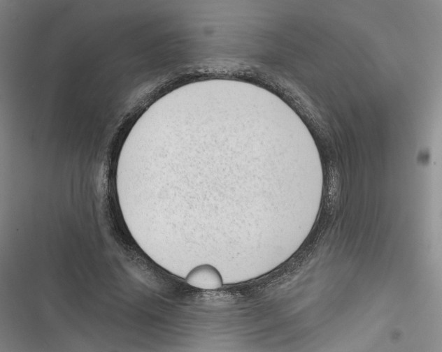 X0000116810636201001151144