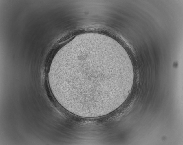 X0000116810637201001151144