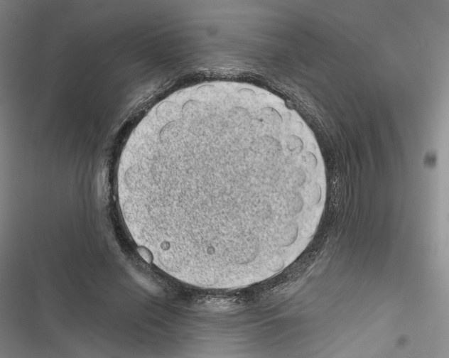 X0000116810638201001151144