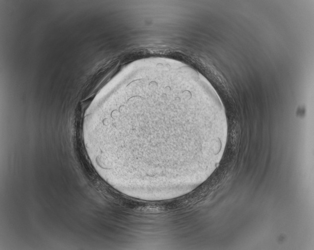 X0000116810639201001151144
