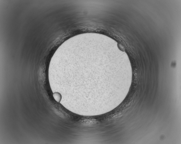 X0000116810642201001151144