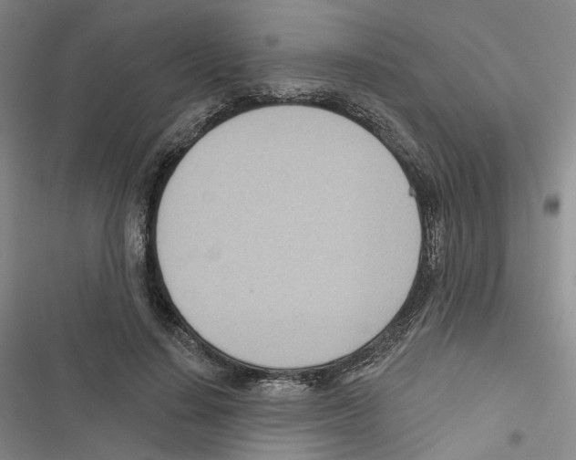 X0000116810644201001151144