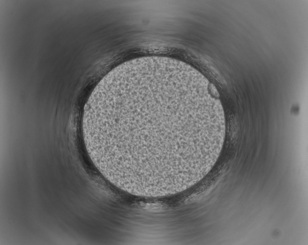 X0000116810645201001151144
