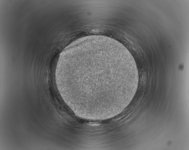 X0000116810651201001151145