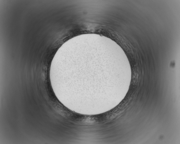 X0000116810656201001151145