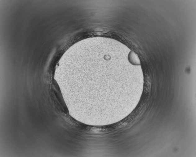 X0000116810657201001151145