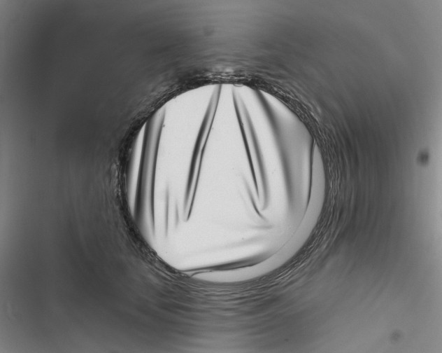 X0000116810659201001151145