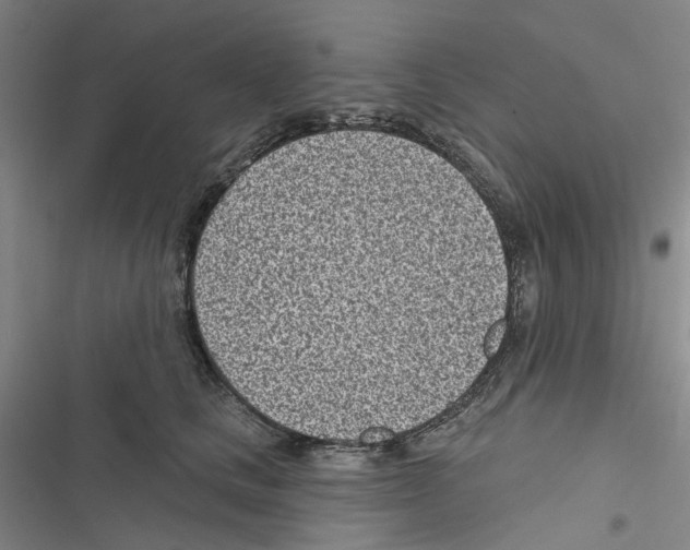 X0000116810661201001151145