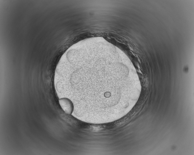 X0000116810662201001151145