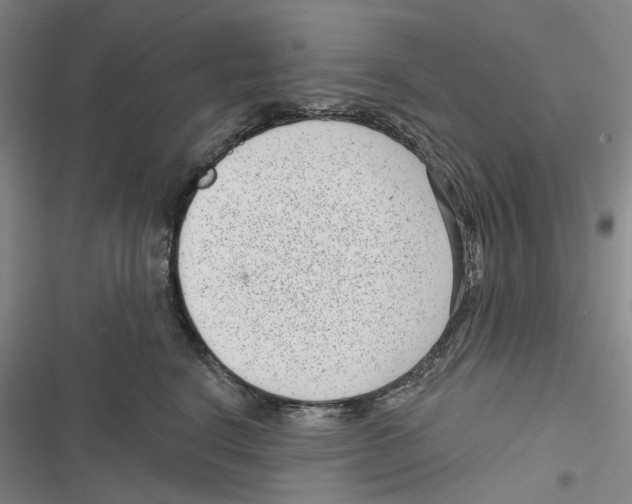 X0000116810664201001151145