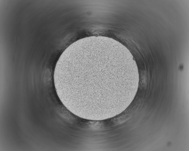 X0000116810667201001151145