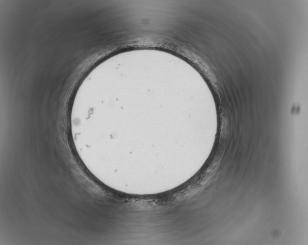 X0000116810673201001151144