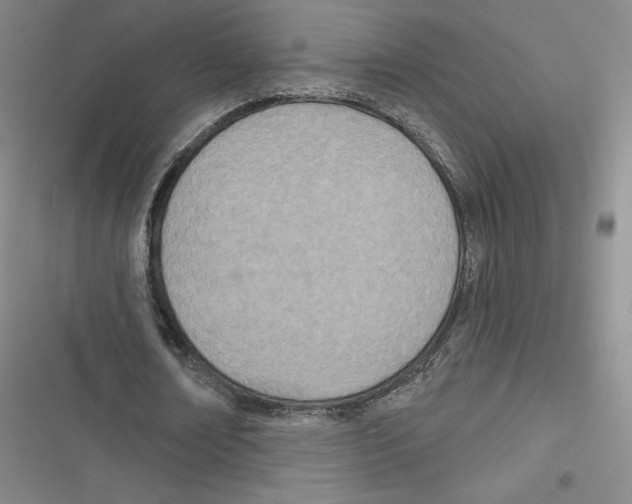 X0000116810674201001151144