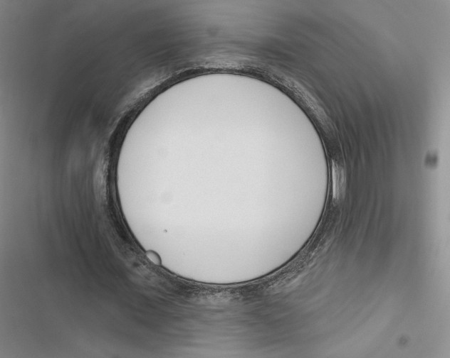 X0000116810675201001151144