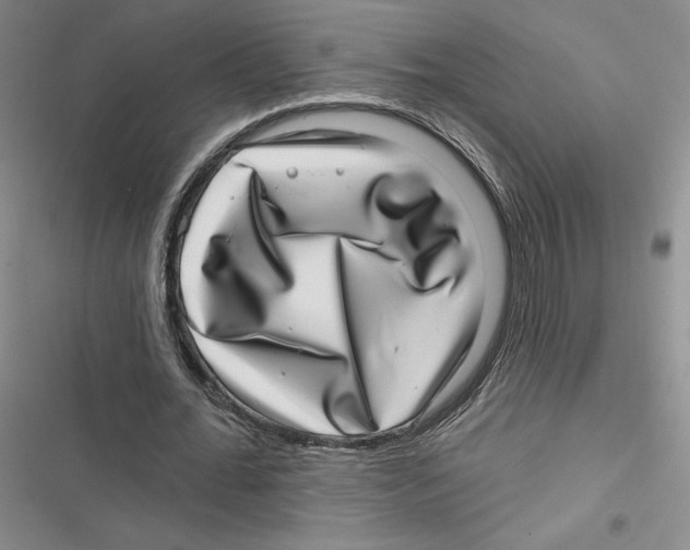 X0000116810676201001151144
