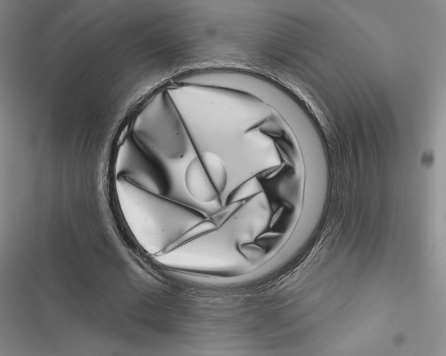 X0000116810677201001151144