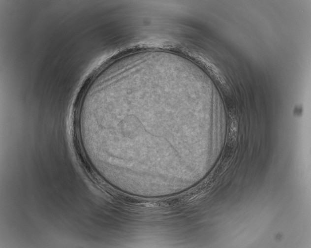 X0000116810678201001151144