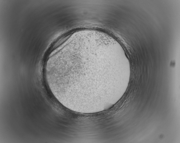 X0000116810679201001151144