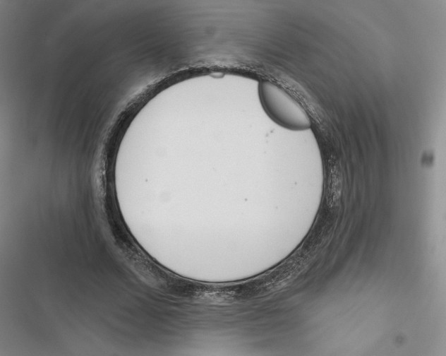 X0000116810680201001151144