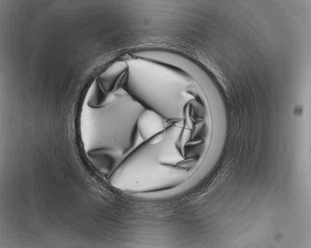 X0000116810681201001151144