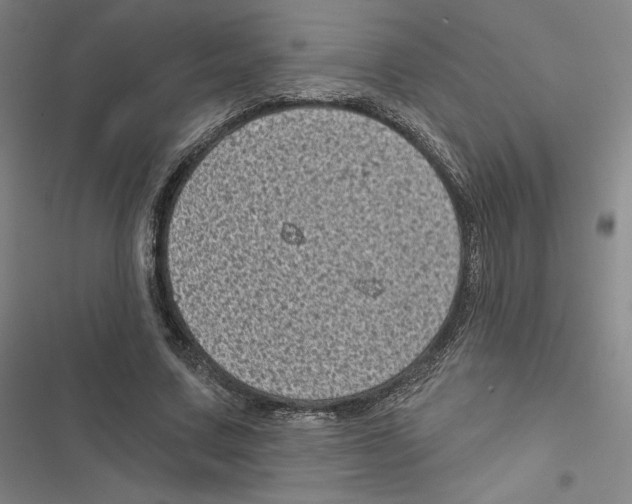 X0000116810683201001151144