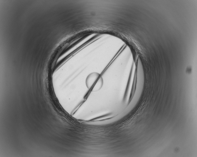 X0000116810684201001151144