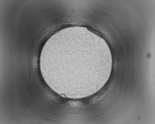 X0000116810689201001151144