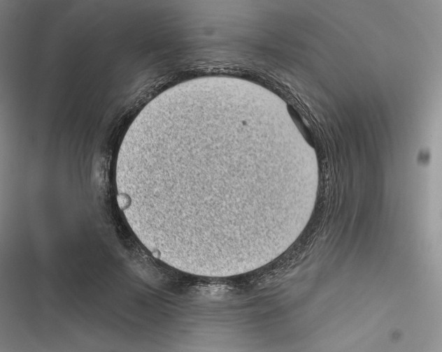 X0000116810695201001151144
