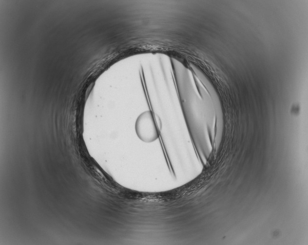 X0000116810696201001151144