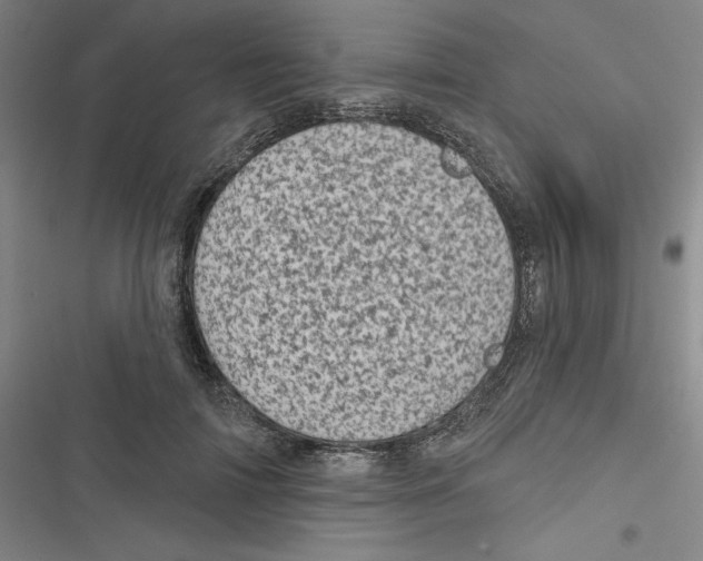 X0000116810698201001151144