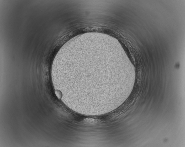 X0000116810699201001151144