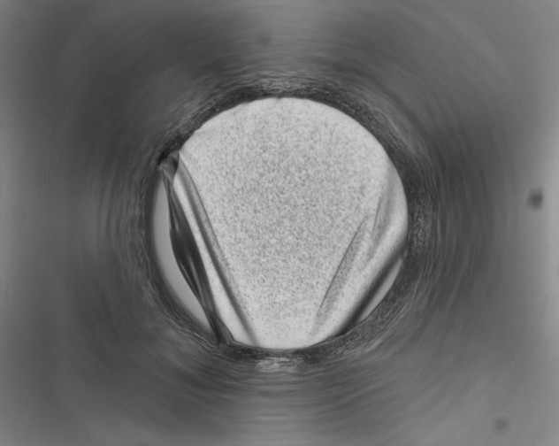 X0000116810700201001151144