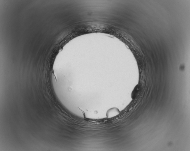 X0000116810701201001151144