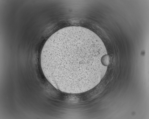 X0000116810702201001151144