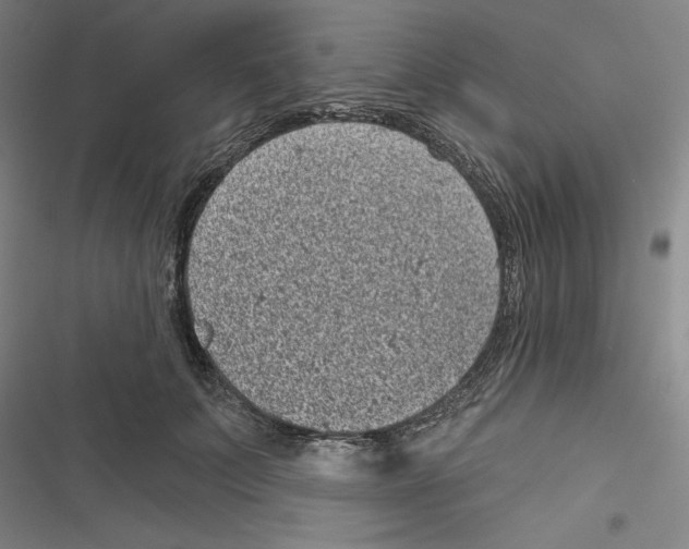 X0000116810703201001151144