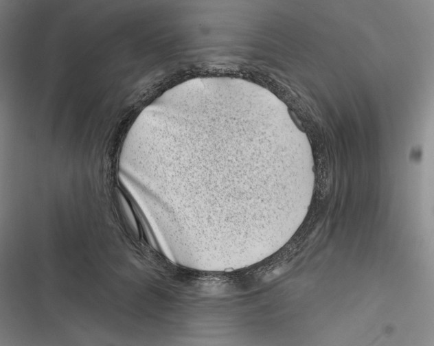 X0000116810704201001151144
