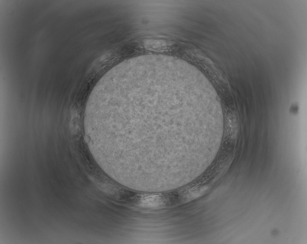 X0000116810705201001151144