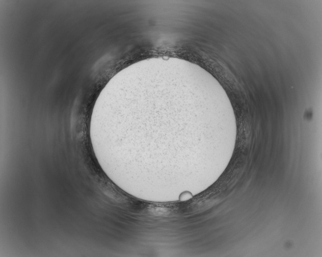 X0000116810706201001151144