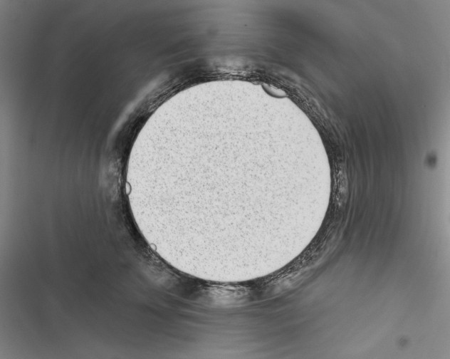X0000116810707201001151144