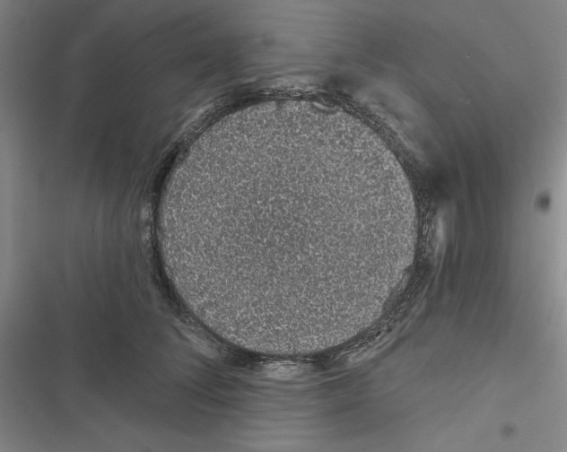 X0000116810708201001151144
