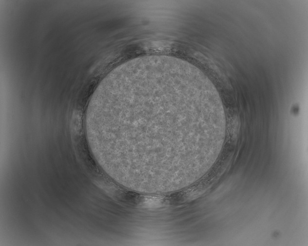 X0000116810709201001151144