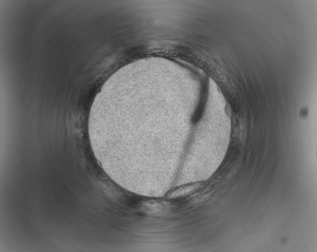 X0000116810712201001151144