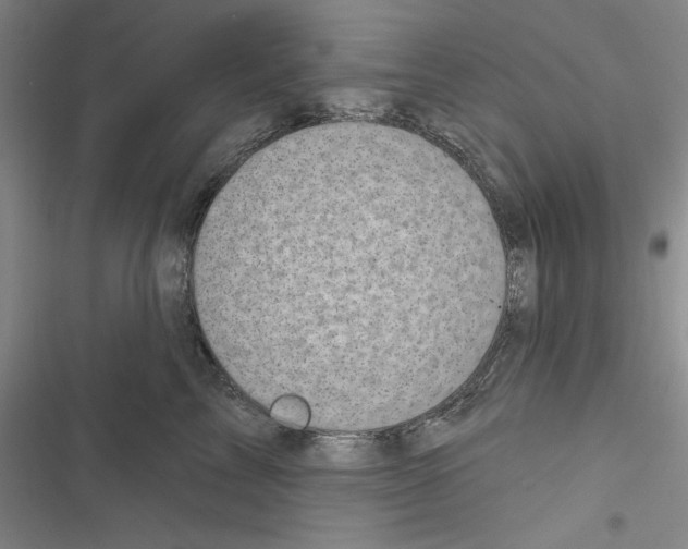 X0000116810713201001151144