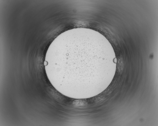 X0000116810714201001151144