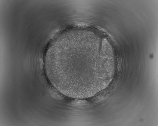 X0000116810716201001151144