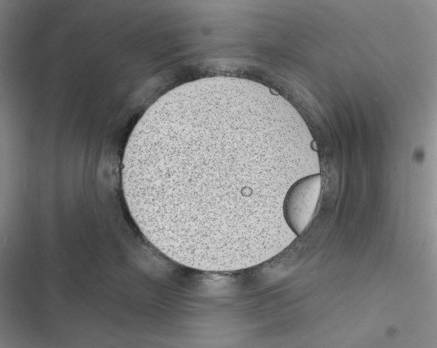 X0000116810718201001151144